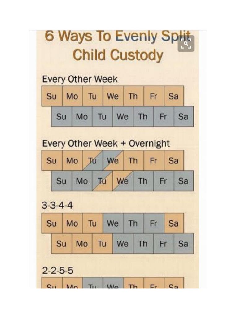Custody Calendar Template
